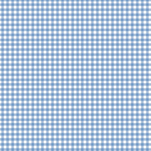 blue gingham wrapping paper