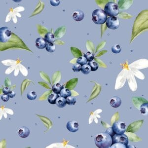 blueberry wrapping paper