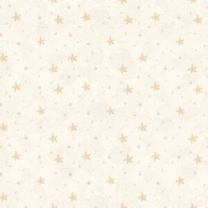 Star Paper